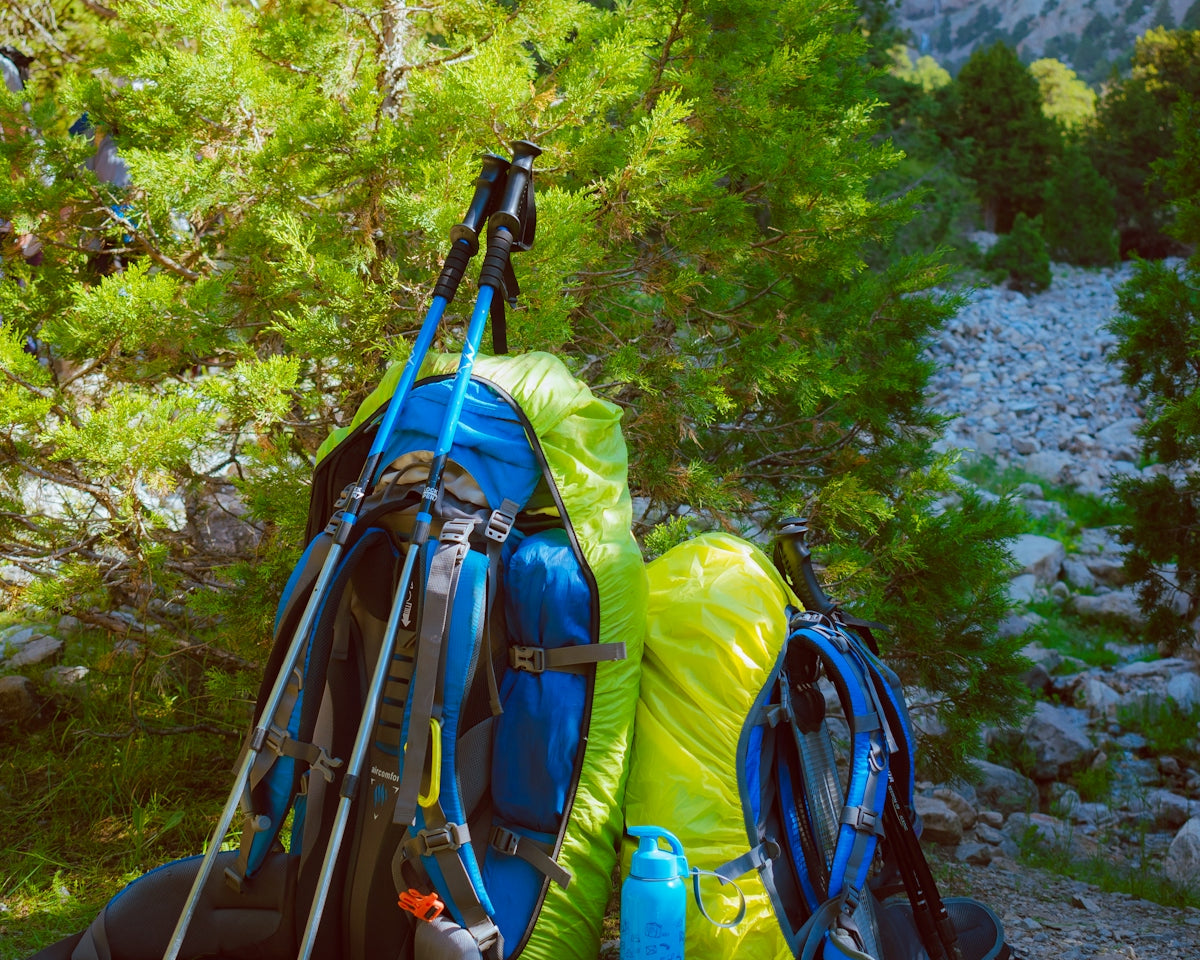 blue and black hiking backpacks on gray rocky ground