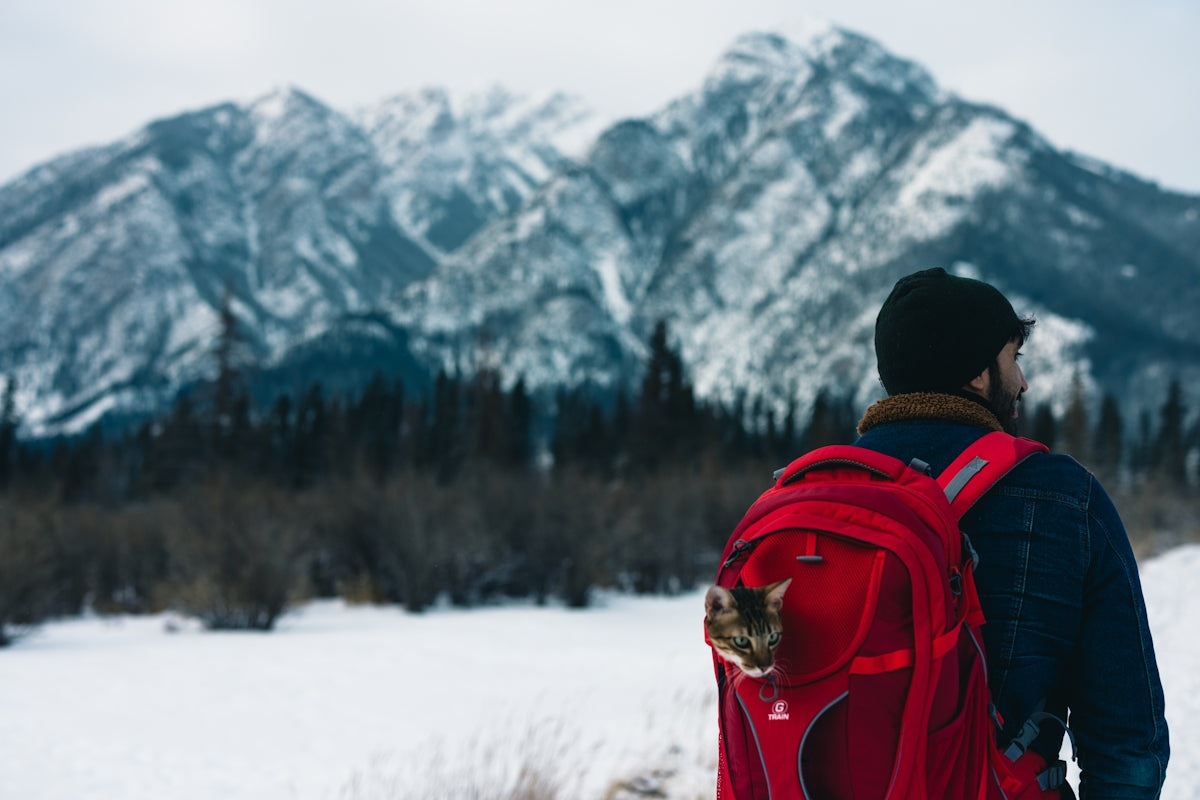 A man with a backpack and a cat in the snow